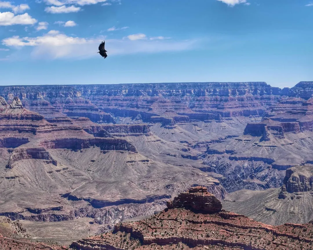 The Grand Canyon, South Rim