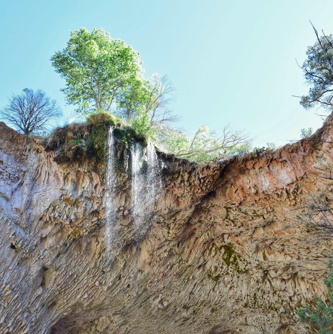 A floating tree at the source of a waterfall on top of the world's largest natural arch bridge. I couldn't get the rainbow 20 feet down in the picture. What a sight.