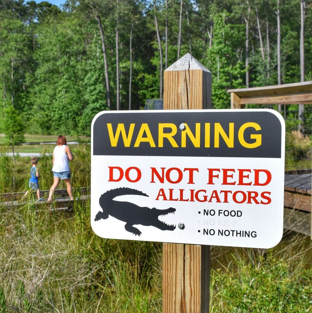 If you look closely, the sign used to say, "No Food, No Kids, No Nothing". This lady is pleased "No Kids" was removed.