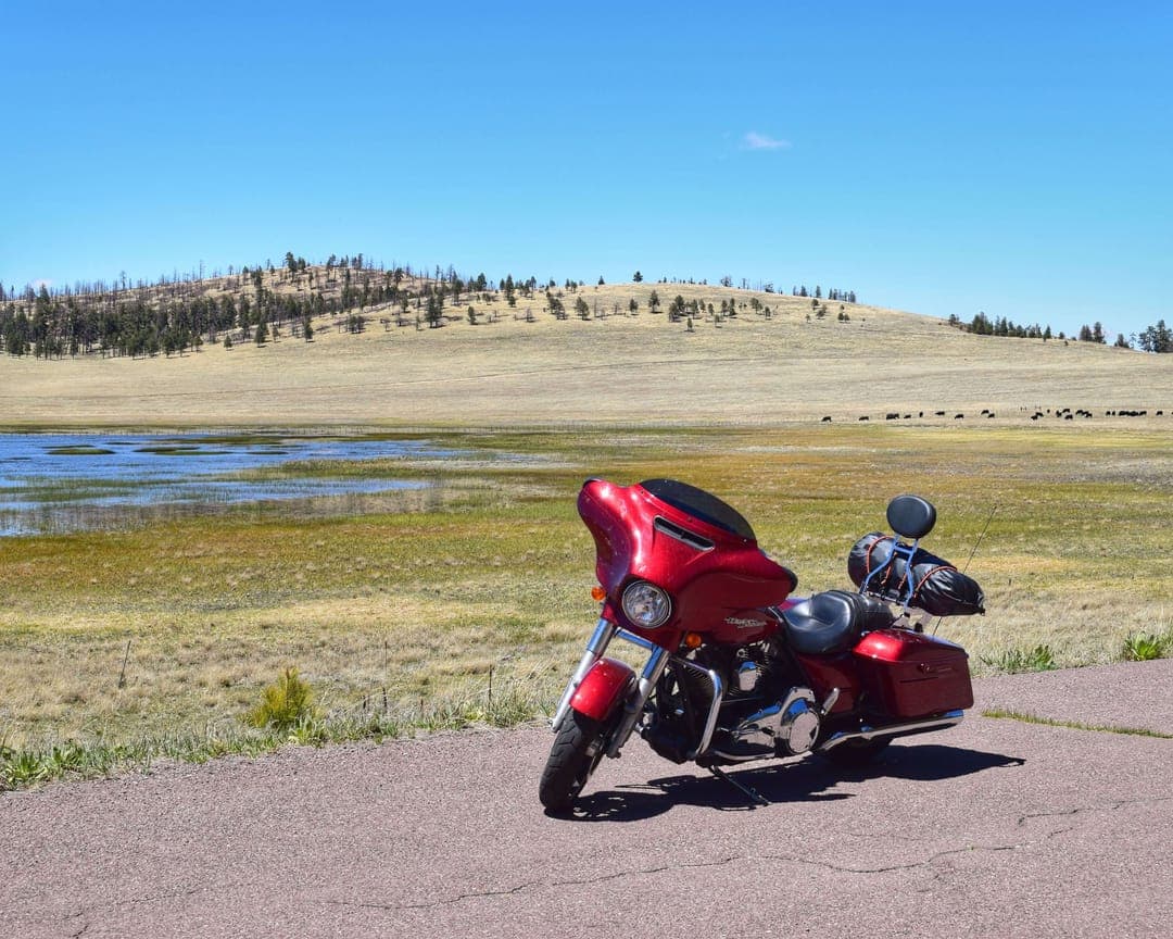 Mexican Hay Lake, cow watering hole