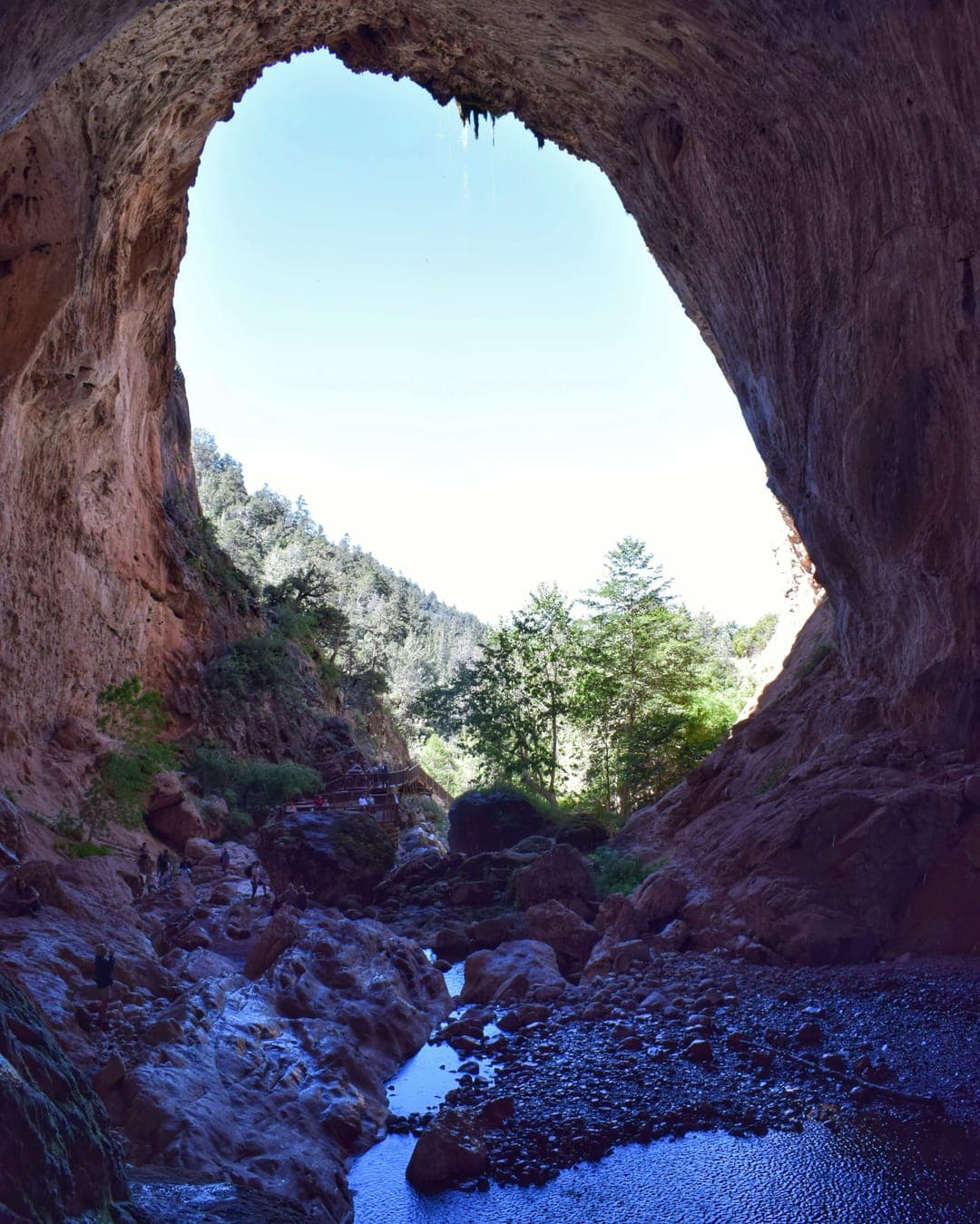 Inside looking out