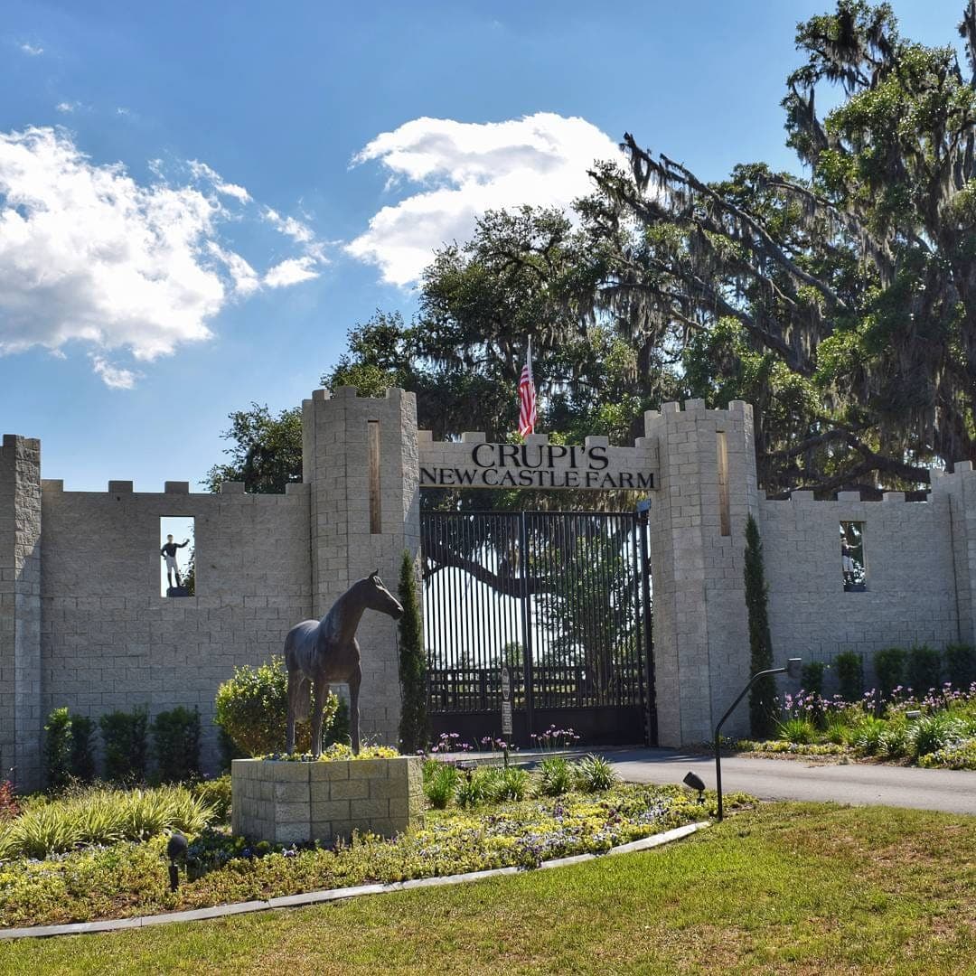 Ocala, FL. Always Dreaming, the Kentucky Derby winner, trains here.