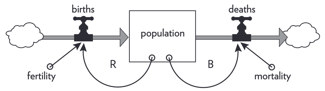Earth's population stock-and-flow diagram