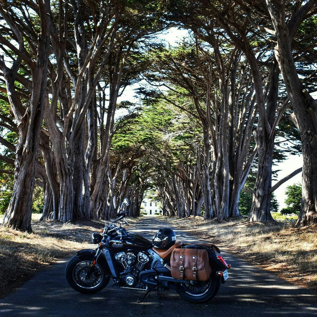 Indian Scout rental at the Cypress Tree Tunnel in Point Reyes, CA