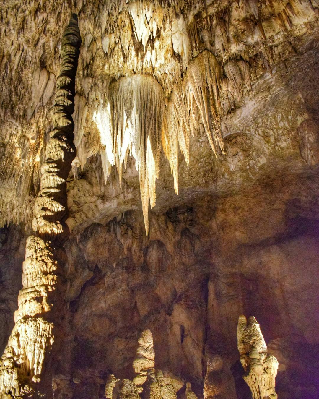 Stalactite chandelier in Carlsbad Caverns
