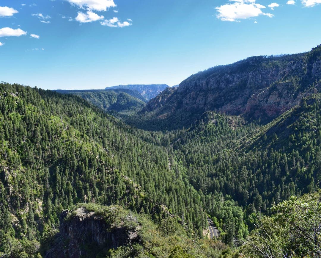 Hwy 89A through the forest and along a creek, a favorite of the trip